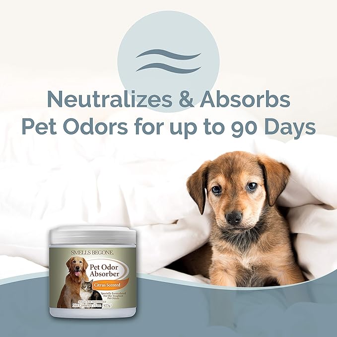 SMELLS BEGONE Air Freshener Pet Odor Absorber Gel - 15 oz, Pack of 2 - Absorbs and Eliminates Odor in Pet Areas, Bathrooms, Cars, & Boats - Made with Essential Oils - Citrus Scent