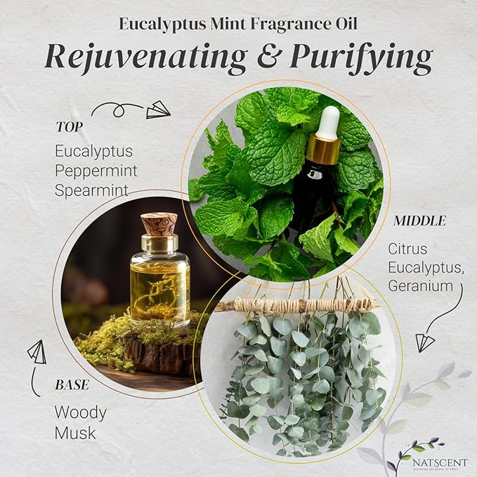 Eucalyptus Mint Essential Oils for Diffusers for Home, Nature-Based Eucalyptus Essential Oil, Long-Lasting & Family-Friendly Diffuser Oils Scents, IFRA Certified, Cold Air & Ultrasonic-4 oz