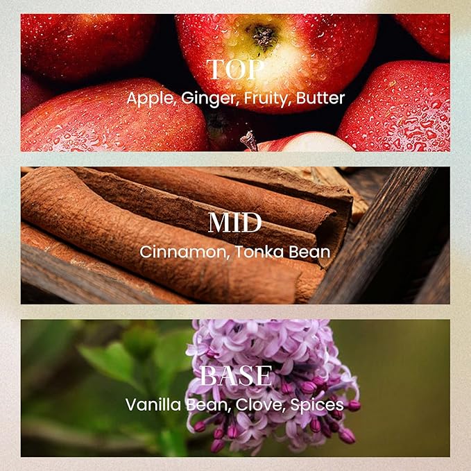 M&SENSE 6.3 oz Large Reed Diffuser Set | Cinnamon Vanilla Scent Oil Diffuser with Sticks | Hotel Collection Non-Toxic Essential Oil |for Bedroom Bathroom Living Room