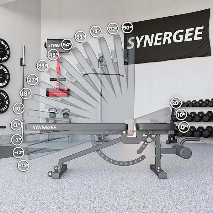 Synergee Adjustable Incline Decline Workout Bench. Weight Bench for Dumbbell & Barbell Press Exercises & Workouts. Great for Commercial, Garage and Home Gym.