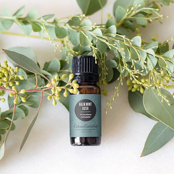 Edens Garden Balm Mint Bush Essential Oil- 100% Pure Premium Grade, Undiluted, Natural, Therapeutic, Aromatherapy, The Best for Diffuser, Skin, Laundry, Humidifiers 30 ml (1 fl oz)