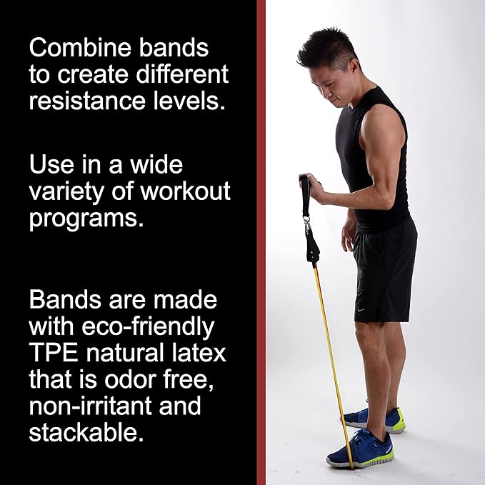 BodyForge Resistance Bands, Exercise Bands, Resistance Bands for Working Out, Work Out Bands with Handles for Men and Women Fitness, Strength Training Home Gym Equipment