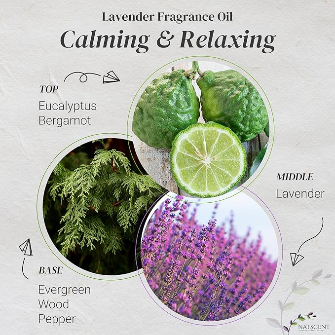 Lavender Essential Oils for Diffusers for Home, Nature-derived Lavender Essential Oil, Long-Lasting & Family-Friendly Diffuser Oils Scents, IFRA Certified, Cold Air & Ultrasonic - 16 oz