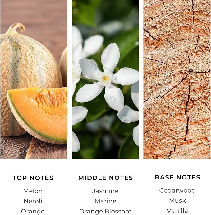 Diffuser Oil Refill, Inspired by The Atlantis Resort, Hotel Series Aroma Scents, Essential Oils Set for Home, Fragrance Oil for Candle Making, Home, 50 ML, Atlantis Escape