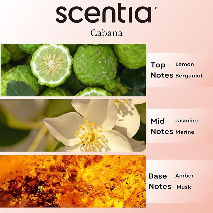 Scentia Hotel Diffuser Oil Inspired by 5-Star Hotel Scent - 20 mL 0.67 fl oz - Fragrance Oil Blend Botanical Jasmine, Bergamot & Fresh Marine Notes for Aromatherapy Diffusers - Cabana