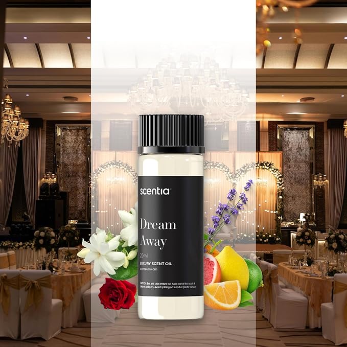 Fragrance Oil Blend, Inspired by Iconic Perfume, Home Luxury Scents, Essential Oil Blend for Aromatherapy Diﬀusers, Humidifiers & Candle Making -Dream Away 20ml, 0.67 Fl Oz, Mothers Day Gift