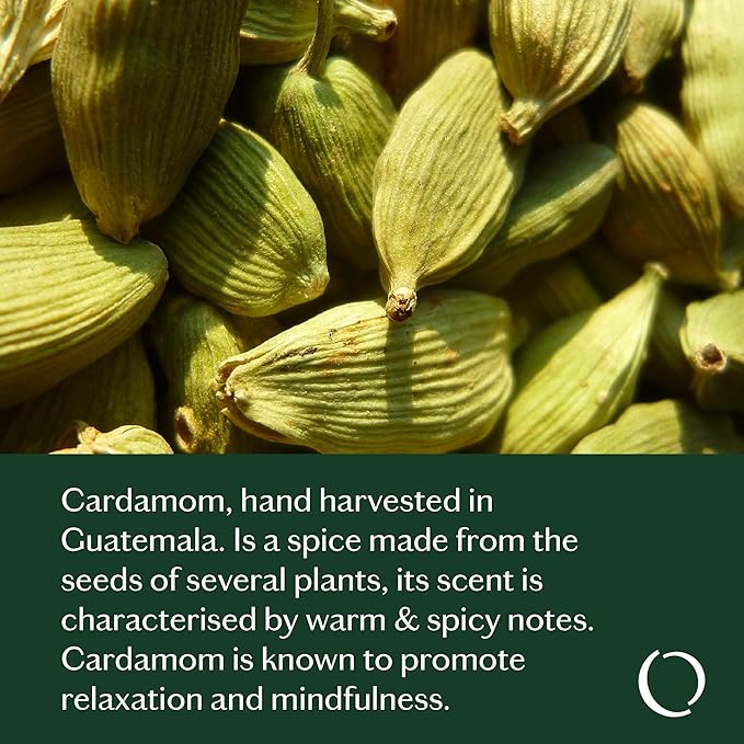 LIVEDROPS 24/7 Balanced Essential Oil Blend Mandarin Cardamom Cypress Patchouli | Aromatherapy for Calm, Harmony & Grounding | Skin-Safe Diffuser Oil | Vegan French Perfumers Clinically Tested 10ml