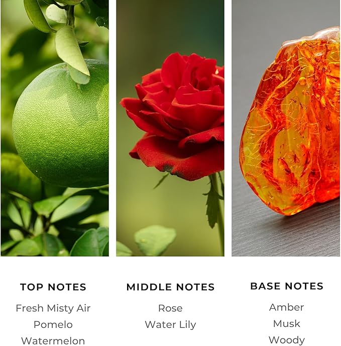 Diffuser Oil Refill, Inspired by Bellagio Hotel & Casino, Hotel Series Aroma Scents, Essential Oils Set for Home, Fragrance Oil for Candle Making, Home, 50 ML, Blue Ice