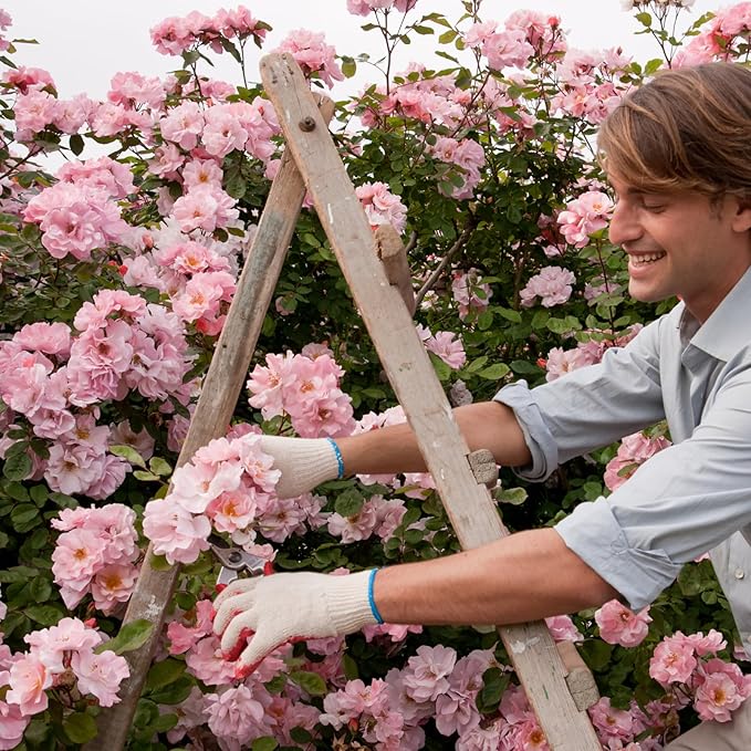 Rose Garden Essential Oils for Diffusers for Home, Nature-derived Rose Essential Oil, Long-Lasting & Family-Friendly Diffuser Oils Scents, IFRA Certified, Cold Air & Ultrasonic – 4oz