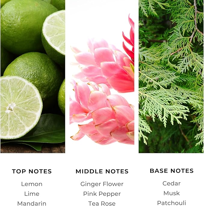 Golden Serenity Fragrance Oil 200ml - Premium Diffuser Oil for Home, Office, Hotels - Long Lasting, Plant-Based, Meets IFRA Standards, USA-Made - Mandarin, Tea Rose, Musk