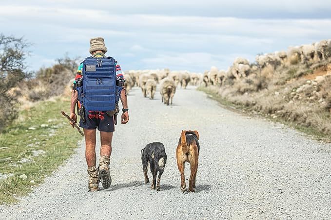 LHI Military Tactical Backpack for Men and Women 45L Army 3 Days Assault Pack Bag Large Rucksack with Molle System - Blue