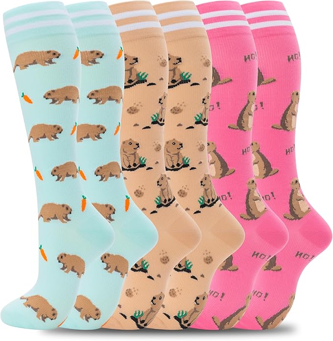 fenglaoda Compression Socks for Women Men Support Circulation 6 Pairs Socks For Nurse, Travel, Flight