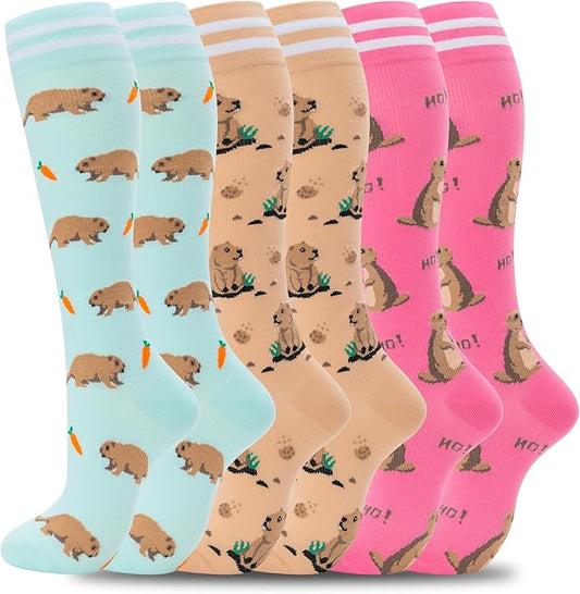 fenglaoda Compression Socks for Women Men Support Circulation 6 Pairs Socks For Nurse, Travel, Flight