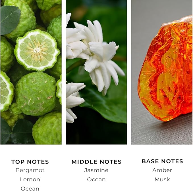 Dorado Beach Fragrance Oil 200ml - Premium Diffuser Oil for Home, Office, Hotels - Long Lasting, Plant-Based, Meets IFRA Standards, USA-Made - Lemon, Ocean, Musk