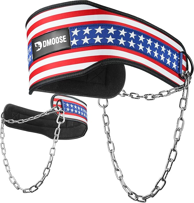 DMoose Fitness Dip Belt for Weight Lifting, Pullup, Squats & Dips - 36" Robust Steel Chain, Comfortable Neoprene Padding Supports 350lbs - Gym Weight Belt for Strength Training Workout & Weightlifting
