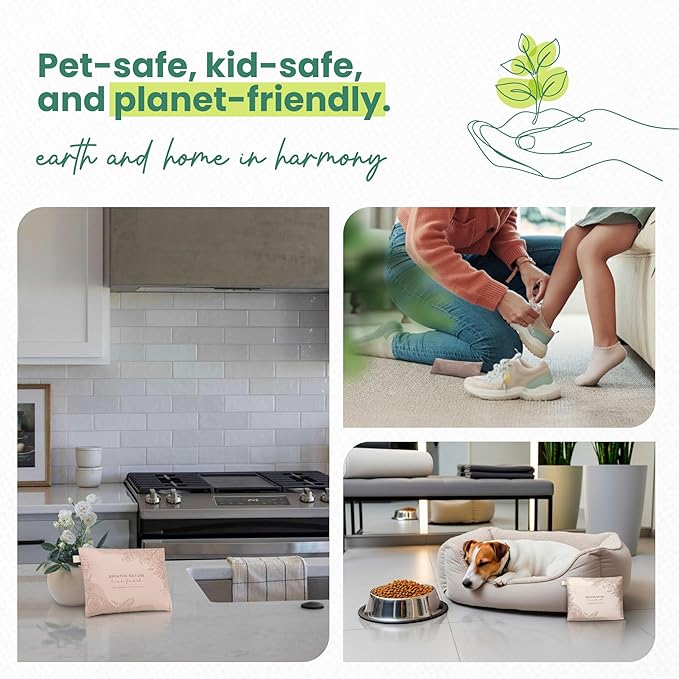 Roonin Activated Charcoal Odor Absorber - Bamboo Charcoal Air Purifying Bag - Activated Charcoal Bags Odor Absorber Packets - Home Deodorizer Odor Eliminator (5-pack)