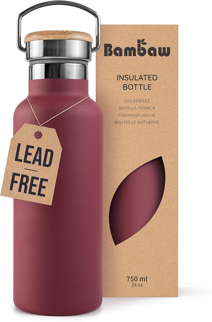 Bambaw 24 oz Insulated Stainless Steel Water Bottle, Red Berry - BPA Free, No Straw