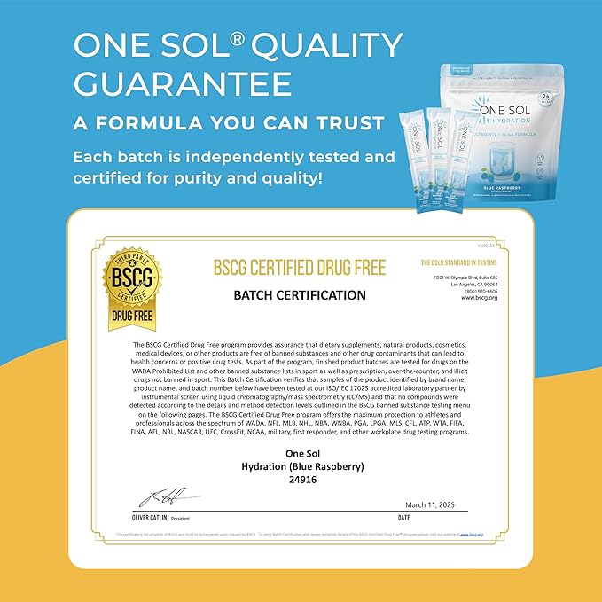 One Sol BCAA & Electrolyte Powder for Hydration & Energy, All-Natural Formula, 100% Vegan, Non-GMO, Gluten Free & Soy-Free, Promotes Muscle Growth & Recovery, Natural Blue Raspberry Flavor