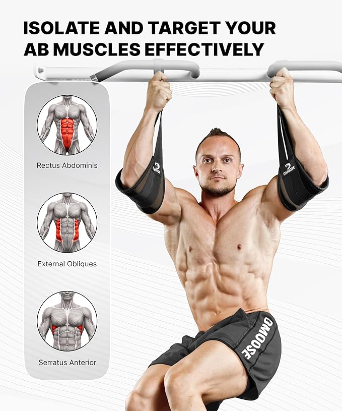 DMoose Fitness Hanging Ab Straps for Pull Up Bar & Core Strength Training - Soft Padded Exercise Straps for Ab Swing & Leg Raises, Hang Bar Strap with 2 Steel Carabiners - Abs Equipment for Home & Gym