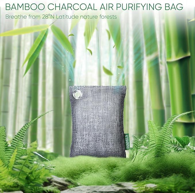 Activated Charcoal Odor Absorber, Large 10 Pack w Hooks Nature Odor Remover for Strong Odor, Bamboo Charcoal Air Purifying Bags, Odor Eliminator for Home Car Closet Pet, Smoke Deodorizer