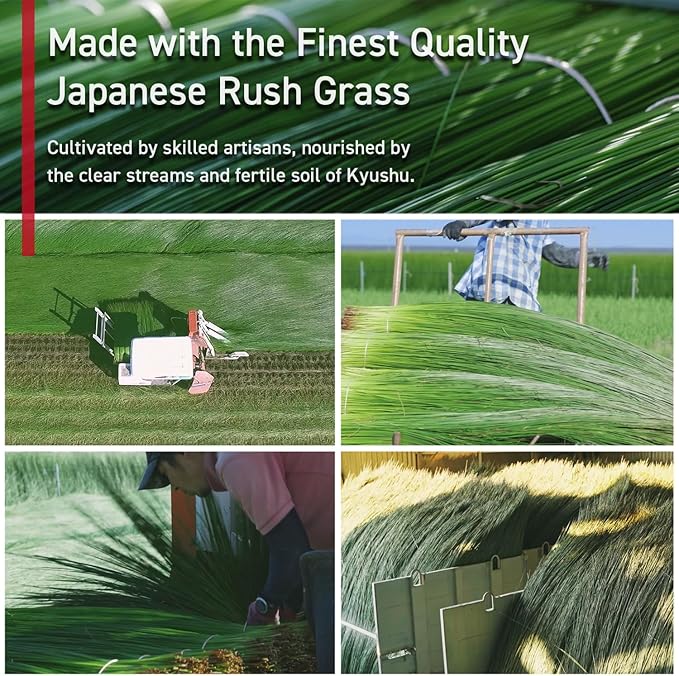 BJDesign Japanese Igusa (Rush Grass) Memory Foam Bed Pillow, Made in Japan, All Sleepers, Breathable & Deodorizing, 11.8x19.7x3.1 Inch