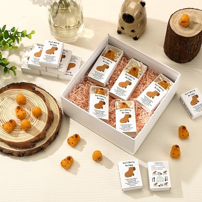 Wettarn 24 Sets Capybara Gifts Positive Stress Balls with Support Gift Boxes Inspirational Party Favors for Employee Coworker Friends Office Stress Relief Toys
