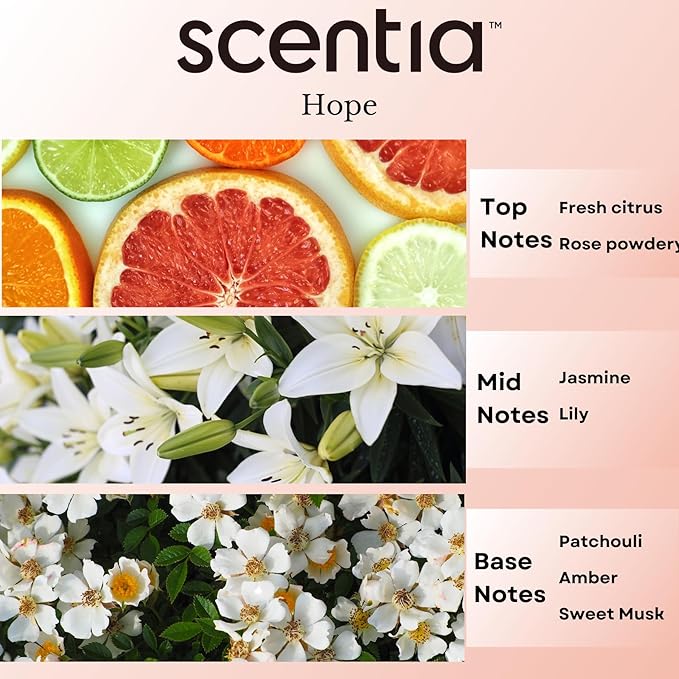 Coco-Chance-Inspired Diffuser Oil Refill - Scentia Hope Dupe Fragrance Oil Blend, Home Luxury Scents, Essential Oil Set for Aromatherapy Diﬀusers Candle Making | 20ml, 0.67 Fl Oz, Mothers Day Gift
