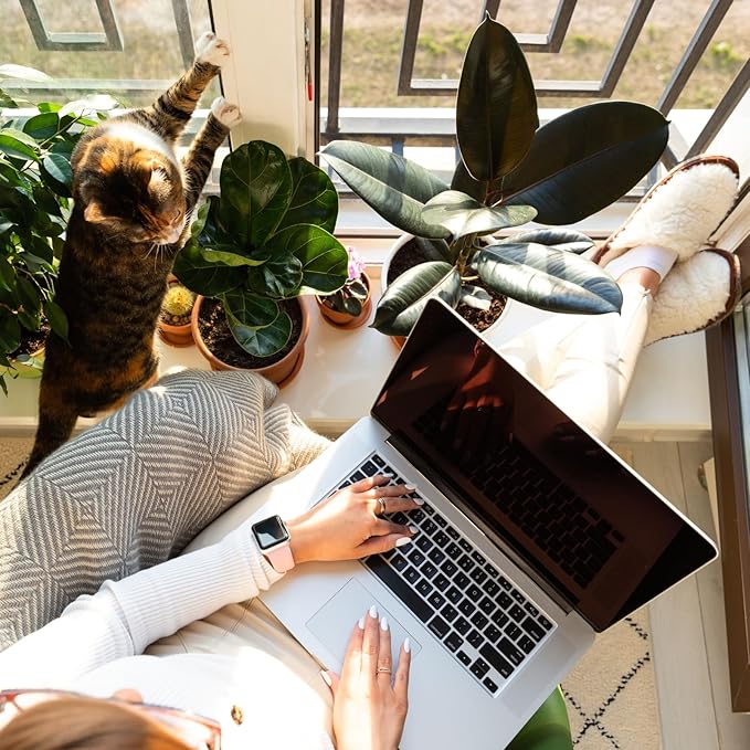 Santal Essential Oils for Diffusers for Home, Nature-derived Sandalwood Essential Oils, Long-Lasting & Family-Friendly Diffuser Oils Scents, IFRA Certified, Cold Air & Ultrasonic - 4 oz