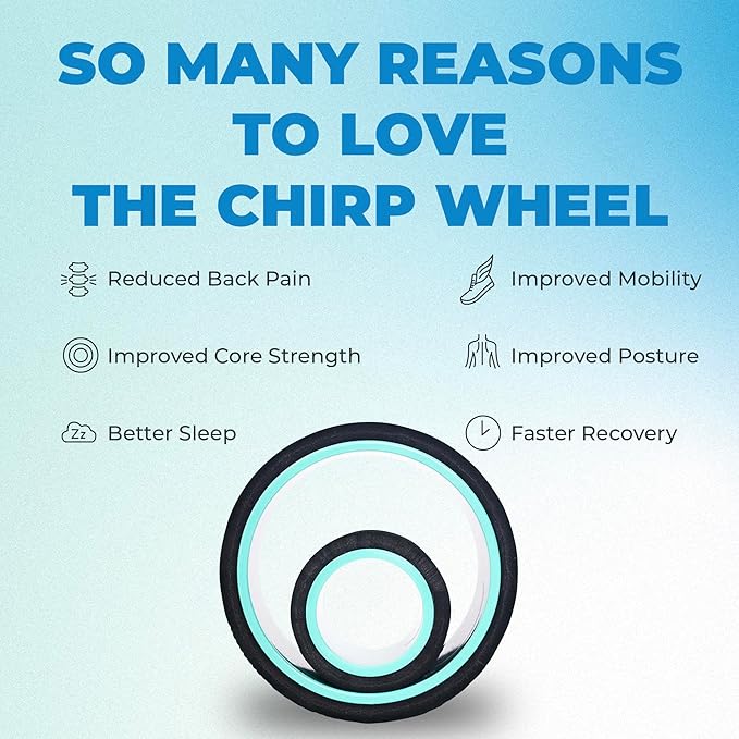 Chirp Wheel Foam Roller – Targeted Back & Neck Relief, Lumbar Spine Stretcher, Spinal Decompression Back Stretcher, Massage Roller with Density Foam for Physical Therapy, Supports 500lbs, 2-Pack Mint
