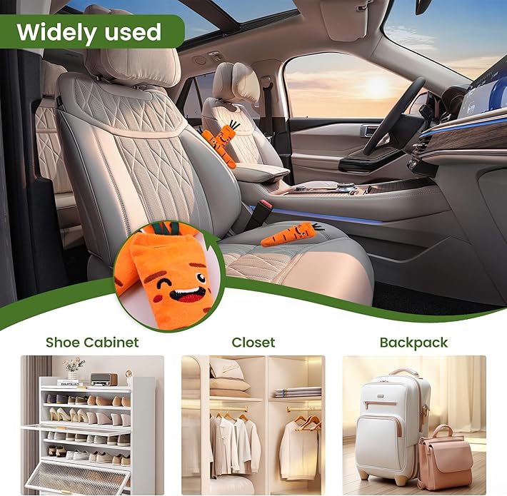 Shoes Odor Remover, 100g Odor Remover Bags for Long Lasting Freshness - Deodorizer, Carpet Fresh