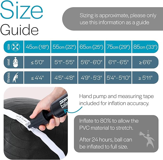 Exercise Ball for Workouts, Anti-Burst and Slip Resistant, Swiss Yoga Ball for Pregnancy, Stability, Fitness and Physical Therapy, 4 Sizes, with Pump