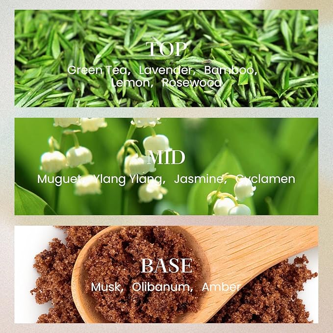 M&SENSE 10.14 oz Large Reed Diffuser Set | Bamboo Scent Oil Diffuser with Sticks | Hotel Collection Non-Toxic Essential Oil |for Bedroom Bathroom Living Room