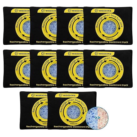 100g Reusable Silica Gel Desiccant Packs, Rechargeable Dehumidifier Moisture Absorbers with Color Indicator for Storage, Gun Safes, Suitcases, 3D Printing Filaments, Electronics, Cars[10Pack]