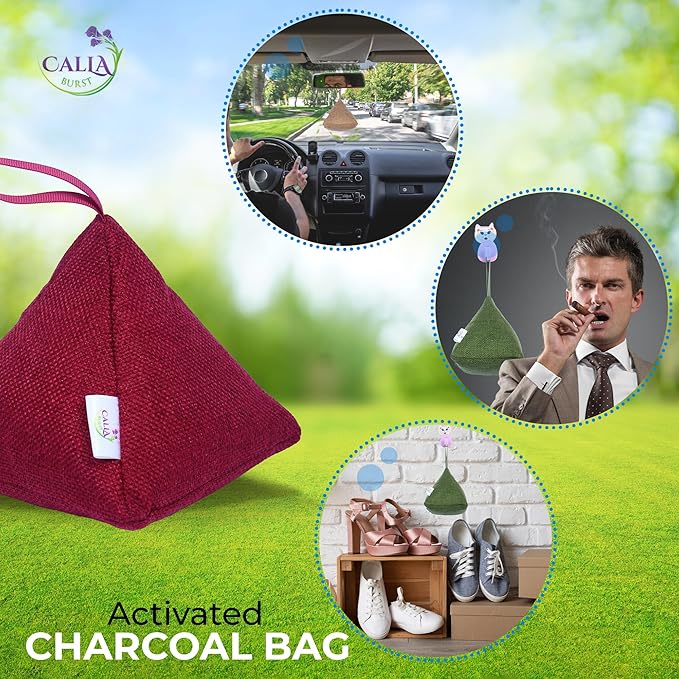 4 Pack Bamboo Charcoal Air Purifier Bags 200 Grams Each - Odor Absorber & Eliminator for Home, Car, Pets, Activated Charcoal Natural Freshener, Eco-Friendly & Reusable (Fall Colors)