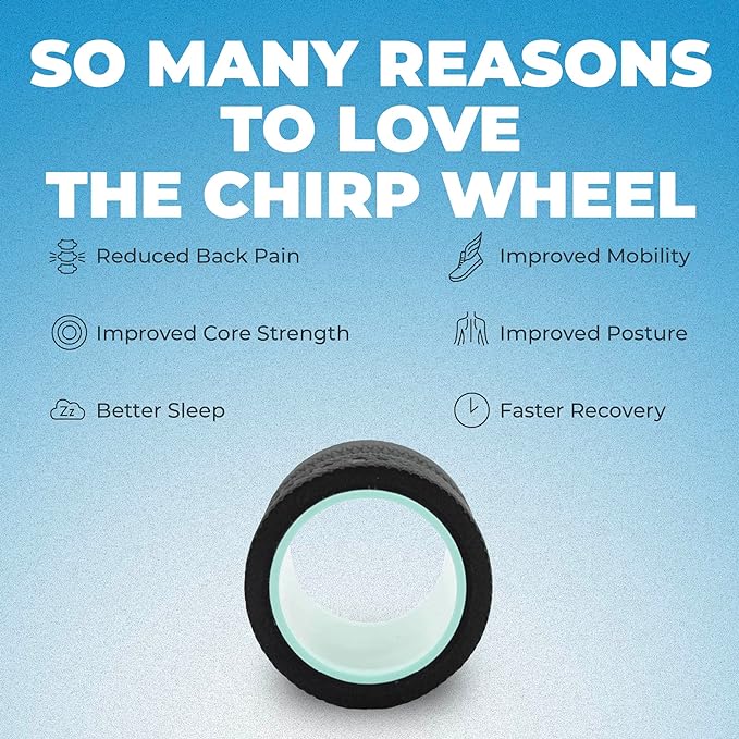 Chirp Wheel Foam Roller – Targeted Back & Neck Relief, Lumbar Spine Stretcher, Spinal Decompression Back Stretcher, Massage Roller with Density Foam for Physical Therapy, Supports 500lbs, 4-Inch Mint