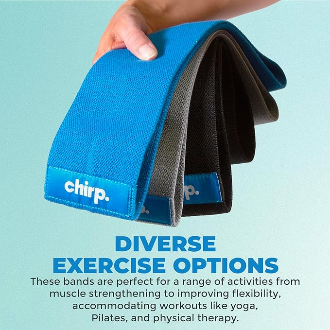 Chirp Premium Quality Resistance Bands - Versatile, Strength, Flexibility, and Physical Therapy, Durable Exercise, Gym, Workout Bands for Men and Women - 3 Levels of Resistance, 31.5 Inches.