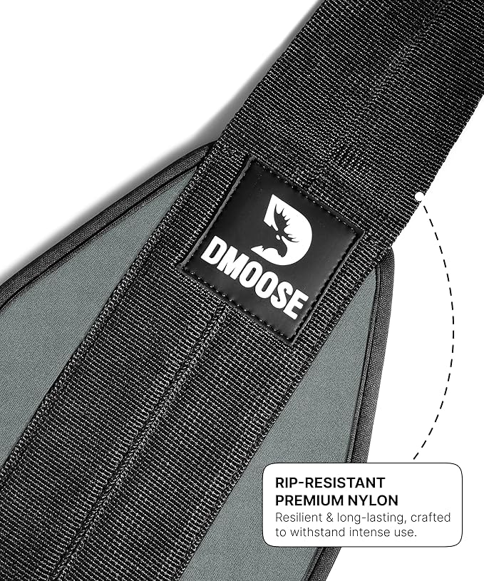 DMoose Fitness Hanging Ab Straps for Pull Up Bar & Core Strength Training - Soft Padded Exercise Straps for Ab Swing & Leg Raises, Hang Bar Strap with 2 Steel Carabiners - Abs Equipment for Home & Gym