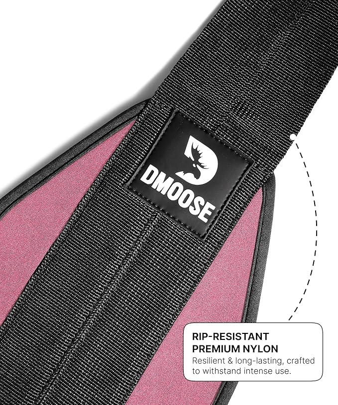 DMoose Fitness Hanging Ab Straps for Pull Up Bar & Core Strength Training - Soft Padded Exercise Straps for Ab Swing & Leg Raises, Hang Bar Strap with 2 Steel Carabiners - Abs Equipment for Home & Gym