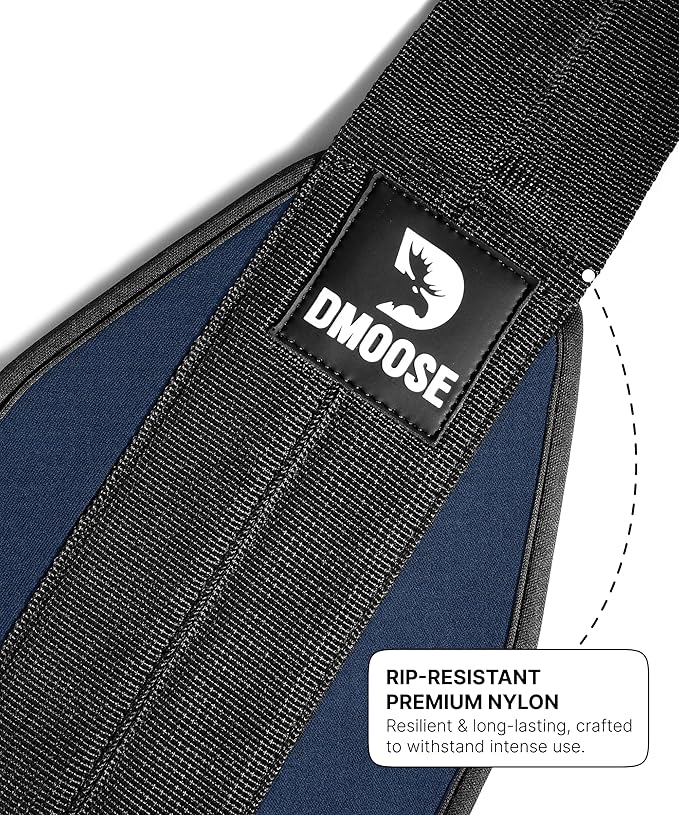 DMoose Fitness Hanging Ab Straps for Pull Up Bar & Core Strength Training - Soft Padded Exercise Straps for Ab Swing & Leg Raises, Hang Bar Strap with 2 Steel Carabiners - Abs Equipment for Home & Gym