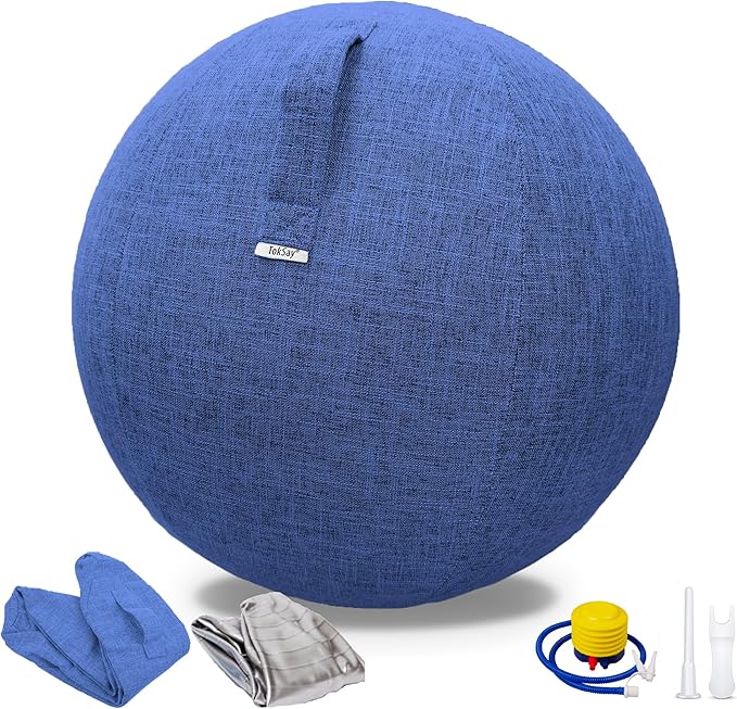 Exercise Ball Chair with Fabric Cover, Standard Size (25inches/65cm), for Home Offices, Balance Training, Yoga Ball