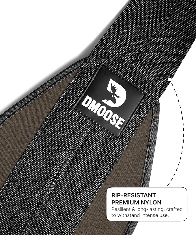 DMoose Fitness Hanging Ab Straps for Pull Up Bar & Core Strength Training - Soft Padded Exercise Straps for Ab Swing & Leg Raises, Hang Bar Strap with 2 Steel Carabiners - Abs Equipment for Home & Gym