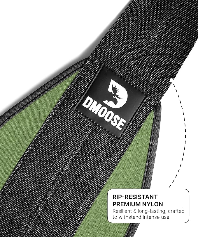 DMoose Fitness Hanging Ab Straps for Pull Up Bar & Core Strength Training - Soft Padded Exercise Straps for Ab Swing & Leg Raises, Hang Bar Strap with 2 Steel Carabiners - Abs Equipment for Home & Gym