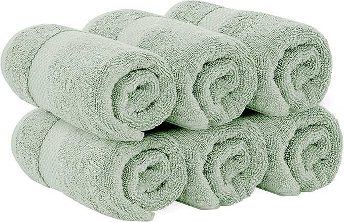 White Classic Luxury Hand Towels for Bathroom-Hotel-Spa-Kitchen-Set - Circlet Egyptian Cotton - 16x30 Inches - Set of 6 (Lt-Green)
