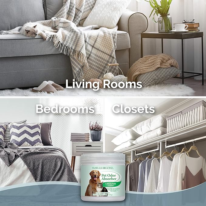 SMELLS BEGONE Air Freshener Odor Absorber Gel - 15 oz, Pack of 2 - Absorbs and Eliminates Odor in Pet Areas, Bathrooms, Cars, & Boats - Made with Essential Oils - Calming Rain Scent